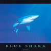 BLUE SHARK POSTER