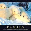 FAMILY (polar bear family) POSTER