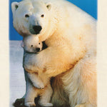 POLAR LOVE POSTER
