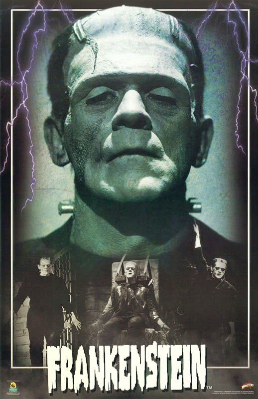MOVIE - FRANKENSTEIN - POSTER LW20V
