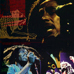 BOB MARLEY NESTAFARIA POSTER