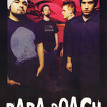 PAPA ROACH 6570 POSTER