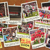 MANCHESTER UNITED-F.A. CUP WINNER 2004 POSTER