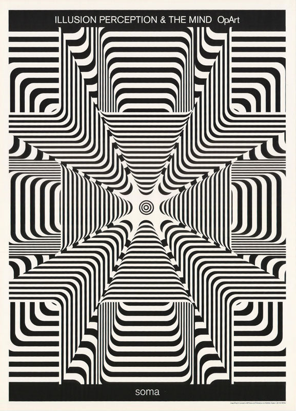 SOMA-ILLUSION PERCEPTION & THE MIND - POSTER RW12L