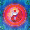 YIN YANG YO POSTER