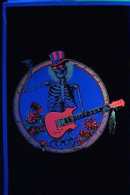 Vintage Velvet GRATEFUL DEAD blacklight poster Skeleton Rose Guitar rare Garris