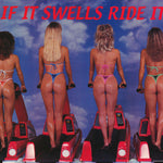 ADULT - IF IT SWELLS RIDE IT - POSTER RC7M