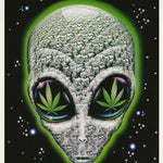 ALIENS - EXPLAINED-WHY ALIENS VISIT EARTH - POSTER