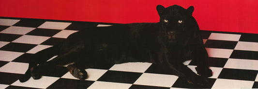 ANIMAL - BLACK PANTHER - POSTER LC2D