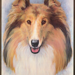 ANIMAL - COLLIE - POSTER LW30F