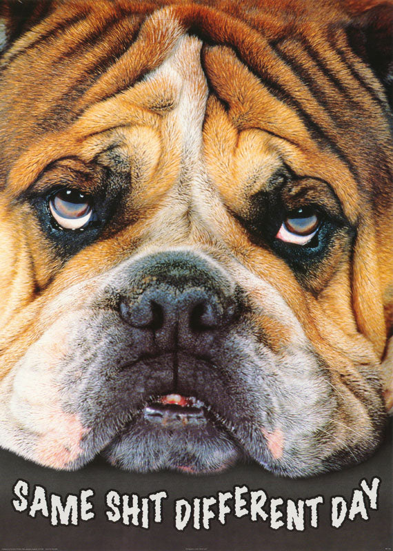 ANIMAL - SAME SHIT DIFFERENT DAY - POSTER LW29J