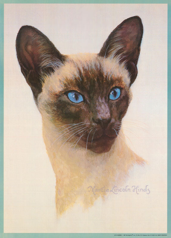ANIMAL - SIAMESE CAT - POSTER LW30E