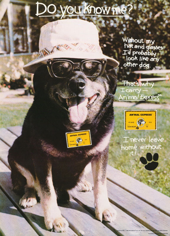 ANIMAL - SUN BEAR - AN'MAL EXPRESS - POSTER  LW30U