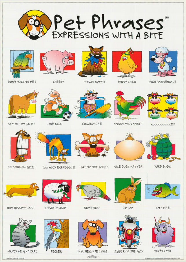 ANIMALS-COMICAL - PET PHRASES - POSTER RC8F
