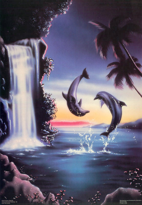 DOLPHIN WATERFALL POSTER