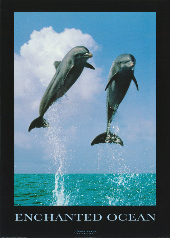 ANIMALS - ENCHANTED OCEAN (dolphins) - POSTER LW1E