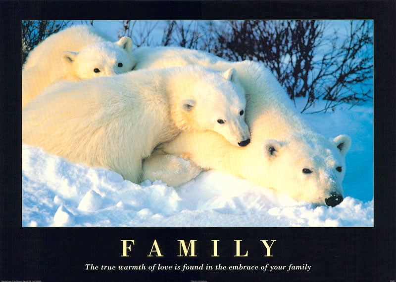 ANIMALS - FAMILY (polar bear family) - POSTER LW25T