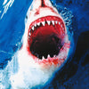 ANIMALS-GREAT WHITE SHARK - POSTER LW11L