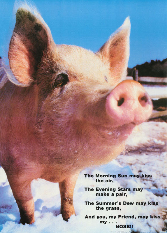 Pig Face Vintage Animal Poster - Style 2