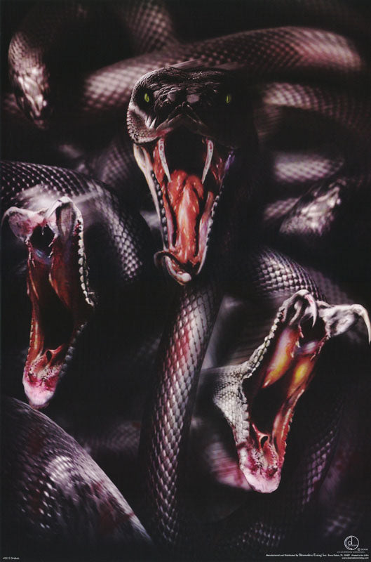 ANIMALS - SNAKES - POSTER LW12Y