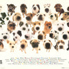ANIMALS - THE DOG - POSTER LW31L-R