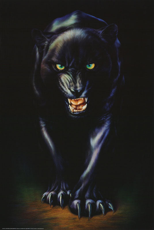 ANIMALS - black panther -- POSTER RC10R