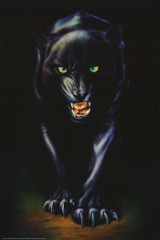 ANIMALS - black panther -- POSTER RC10R