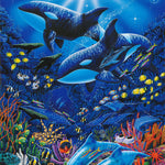 ANIMALS - sealife - POSTER LW27R
