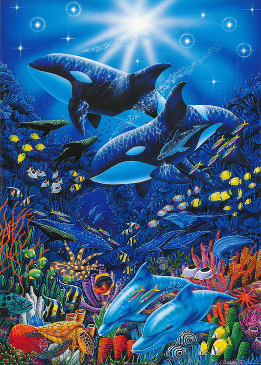 ANIMALS - sealife - POSTER LW27R