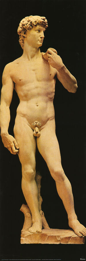 ART - DAVID by MICHAELANGELO - POSTER LW10B