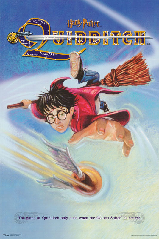 ART-MOVIE - HARRY POTTER-QUIDDITCH-GAME ENDS -POSTER LW21H