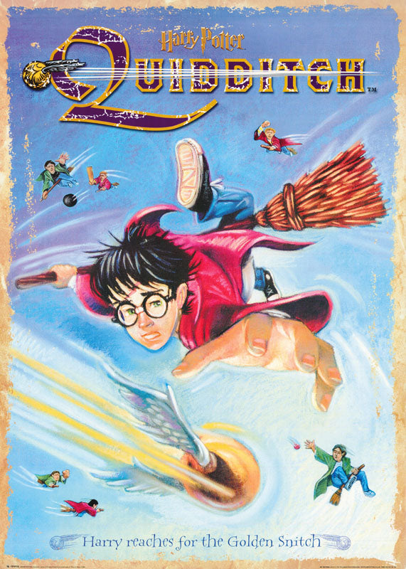 ART-MOVIE - HARRY POTTER-QUIDDITCH-HARRY REACHES - POSTER LW24J