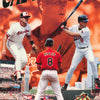BASEBALL-CAL RIPKEN, JR. - POSTER LW14E