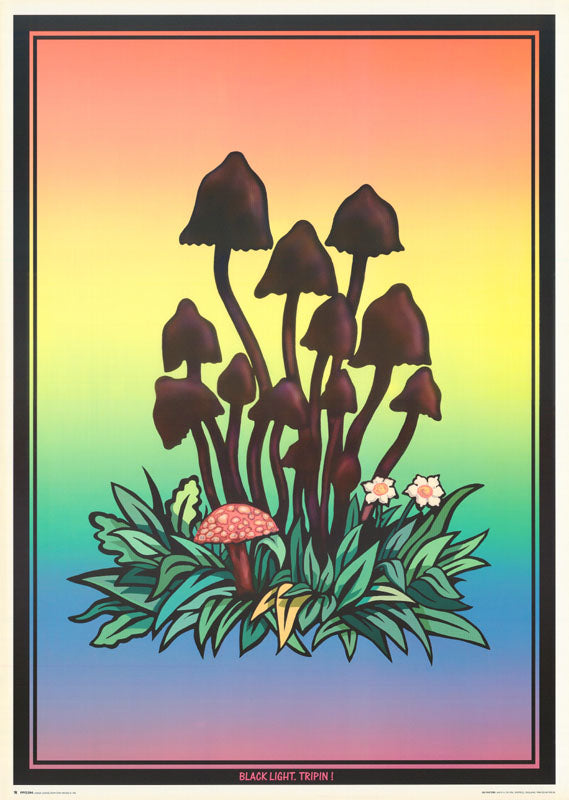 BLACK LIGHT.TRIPIN! - SMOOTH POSTER LW7F