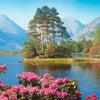 BLUMENSEE - POSTER LW19D