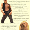 COMICAL - 15 REASONS A DOG IS BETTER THAN A MAN - POSTER RW3C