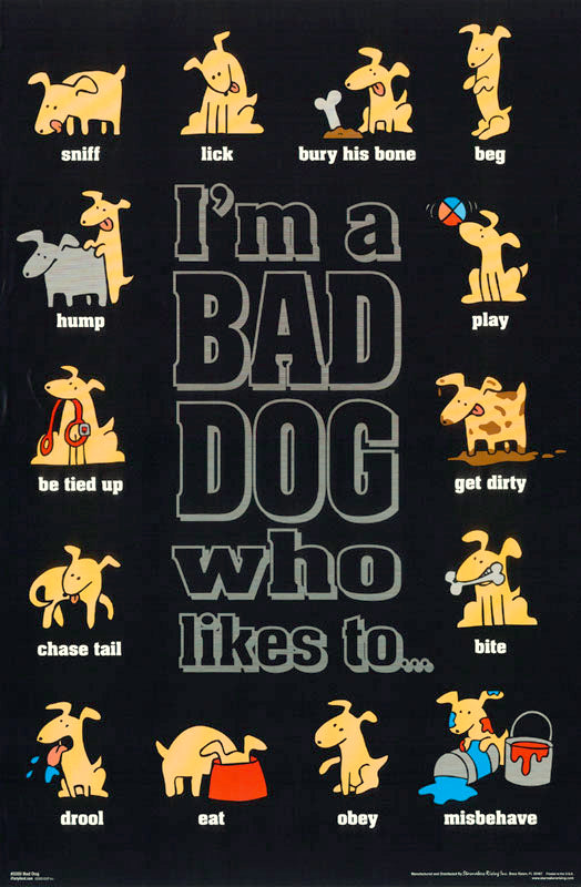 COMICAL - BAD DOG - POSTER LC3T