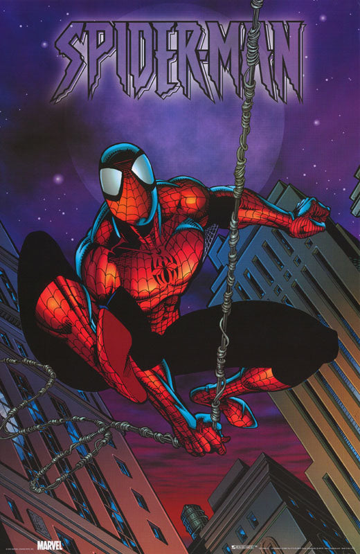 COMICS - SPIDERMAN - POSTER FW2H