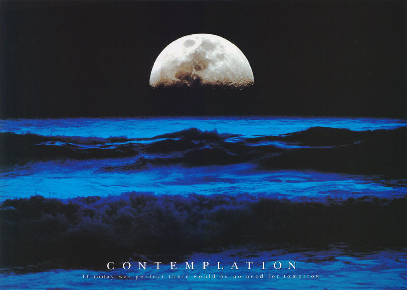 CONTEMPLATION (ocean in moonlight) POSTER