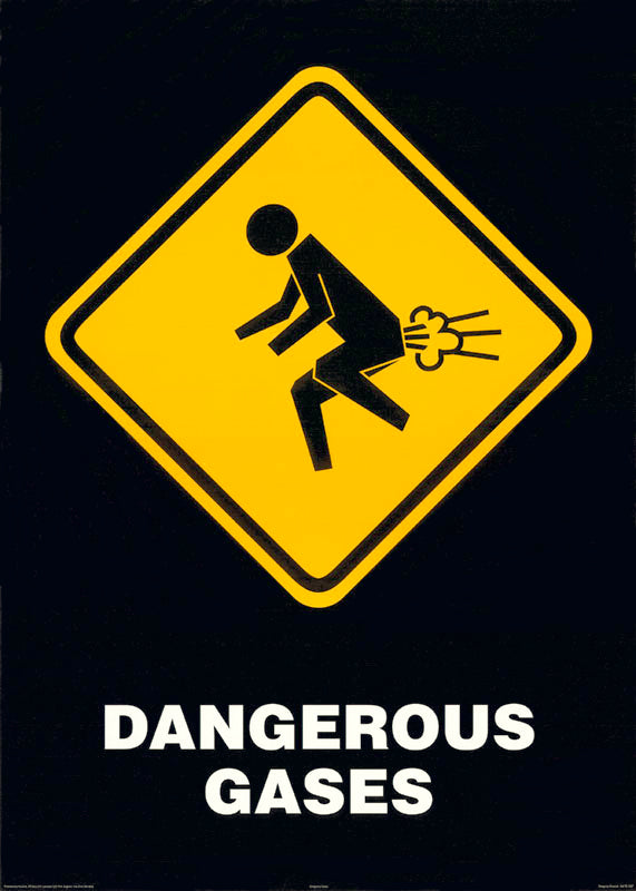 DANGEROUS GASES - POSTER LW23Z