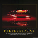 DRINKING - PERSEVERANCE - POSTER FW2C