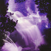 FANTASY - ENCHANTED SIGHTINGS - POSTER LW6W