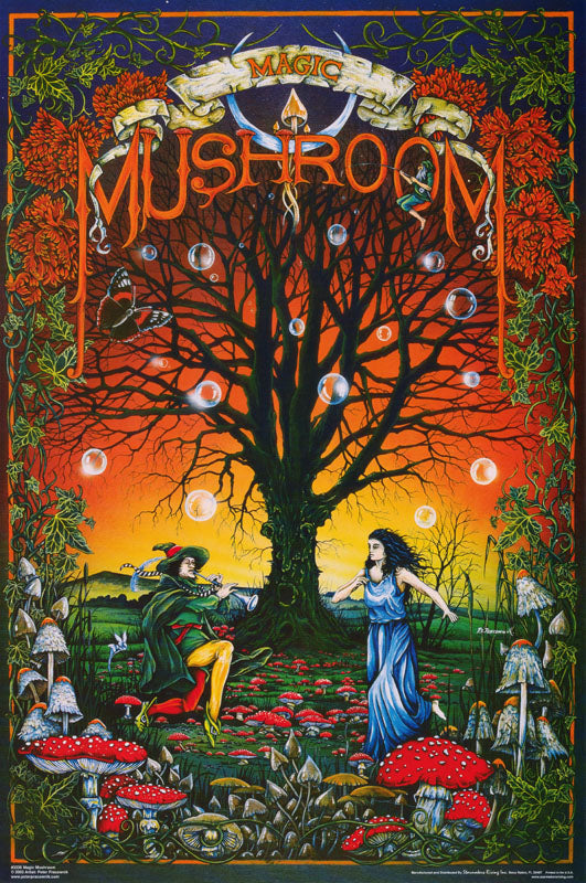 PSYCHEDELIC MAGIC MUSHROOM POSTER