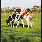 FIELD TESTING of VIAGRA - POSTER RW20A