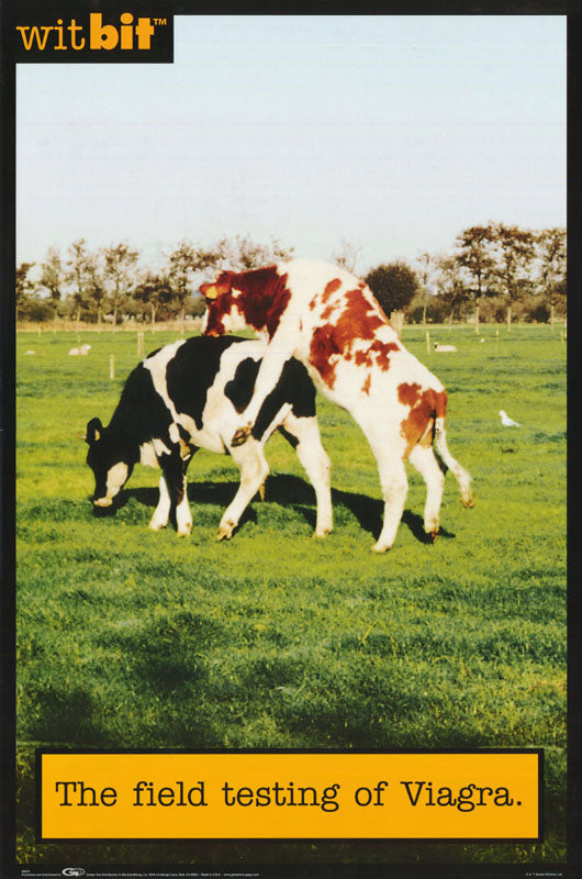 FIELD TESTING of VIAGRA - POSTER RW20A
