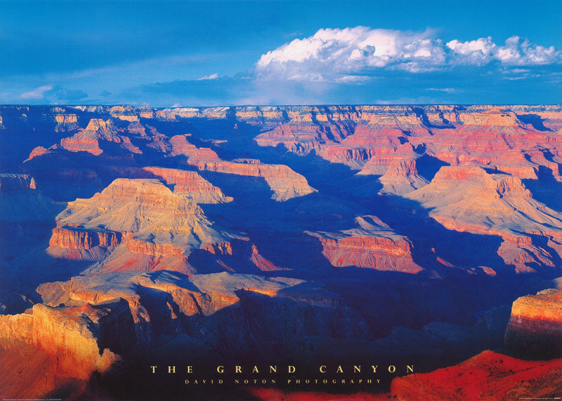 GRAND CANYON - POSTER RW12F