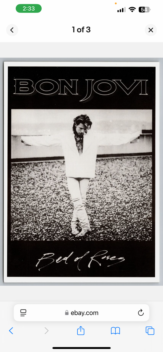 Music: Bon Jovi Poster RW15B