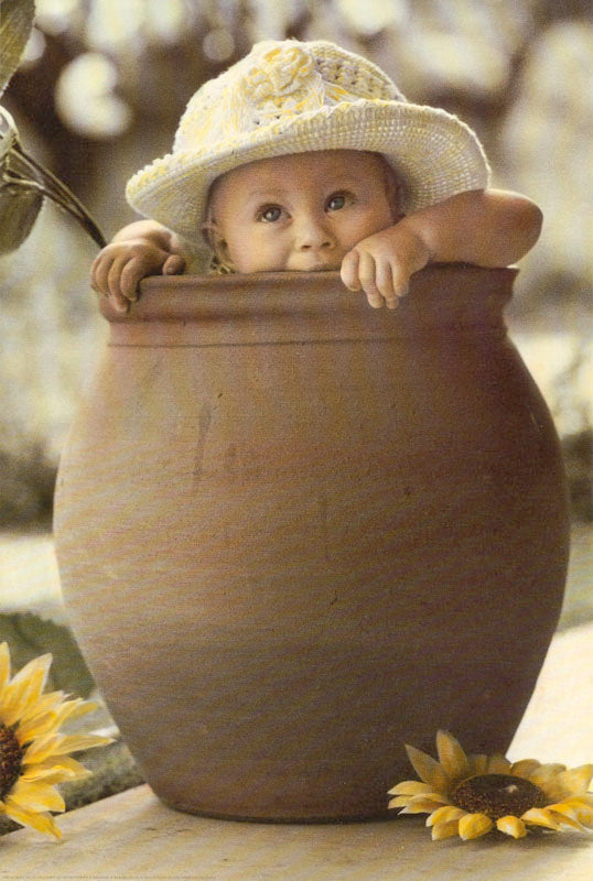 IN THE POT POSTER