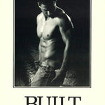 M-MODEL - BUILT in the USA - POSTER LW5T