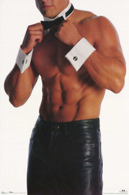 M-MODEL - CHIPPENDALES - POSTER FW2F/STORAGE
